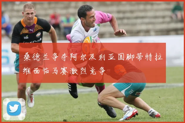 桑德兰争夺阿尔及利亚国脚蒂特拉维面临马赛激烈竞争