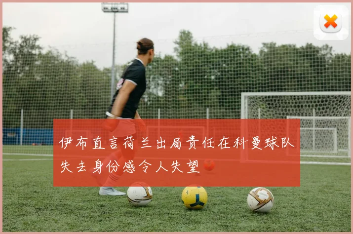 伊布直言荷兰出局责任在科曼球队失去身份感令人失望