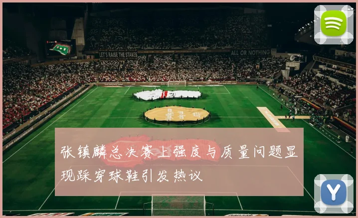 张镇麟总决赛上强度与质量问题显现踩穿球鞋引发热议