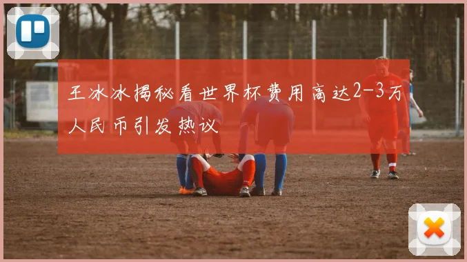 王冰冰揭秘看世界杯费用高达2-3万人民币引发热议